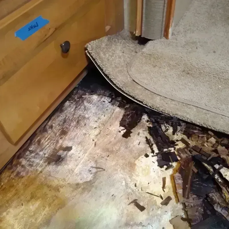 Wood Floor Water Damage in South Gate, MD